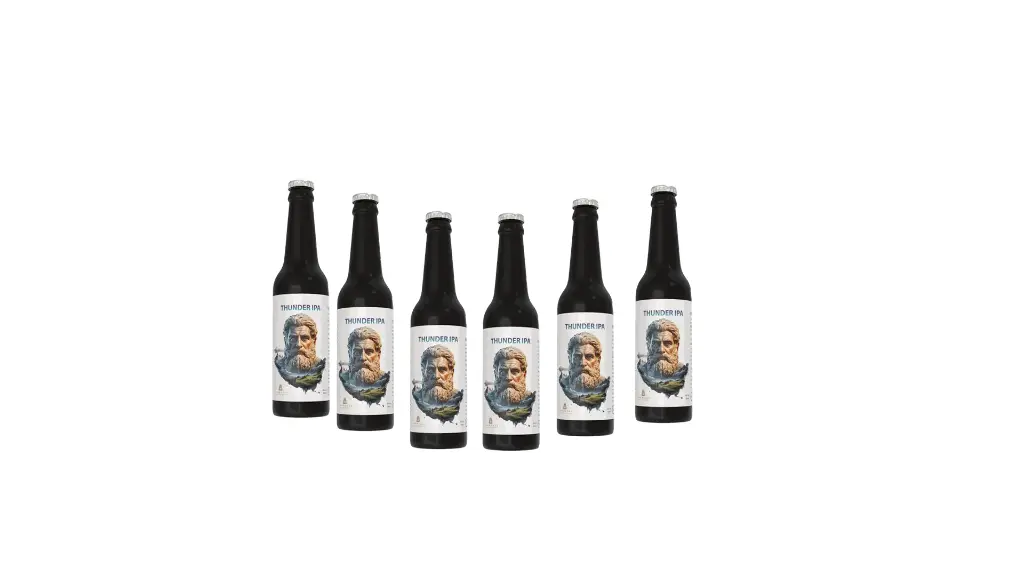 Thunder IPA X6 (shipment included) 