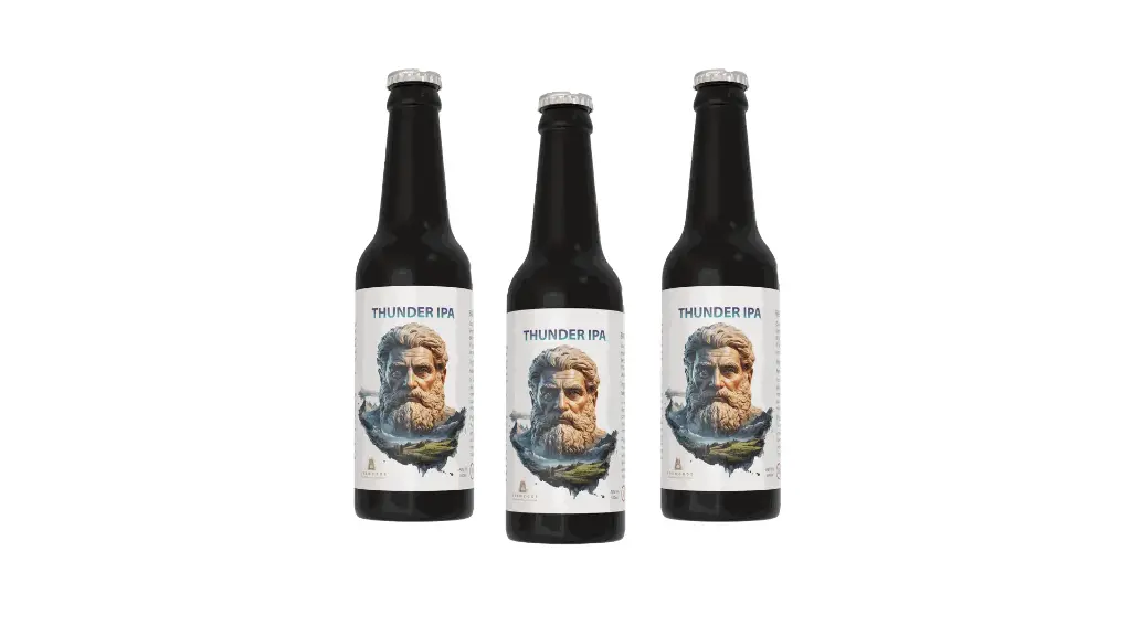 Thunder IPA X3 (shipment included)